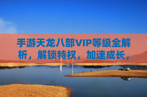 手游天龙八部VIP等级全解析,解锁特权,加速成长,尽享游戏乐趣