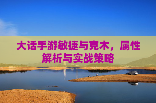 大话手游敏捷与克木,属性解析与实战策略