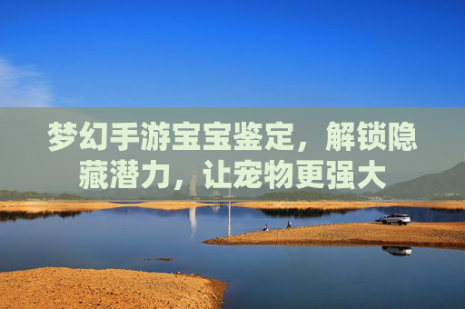 梦幻手游宝宝鉴定,解锁隐藏潜力,让宠物更强大