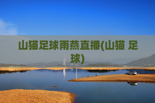 山猫足球雨燕直播(山猫 足球)