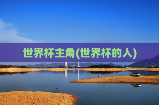 世界杯主角(世界杯的人)