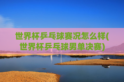 世界杯乒乓球赛况怎么样(世界杯乒乓球男单决赛)