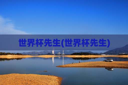 世界杯先生(世界杯先生)