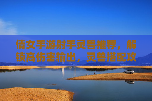 倩女手游射手灵兽推荐，解锁高伤害输出，灵兽搭配攻略全解析！
