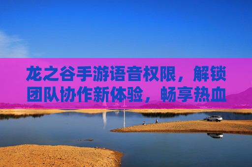 龙之谷手游语音权限，解锁团队协作新体验，畅享热血战斗的即时沟通，龙之谷手游语音权限，解锁团队协作新体验，畅享热血战斗的即时沟通