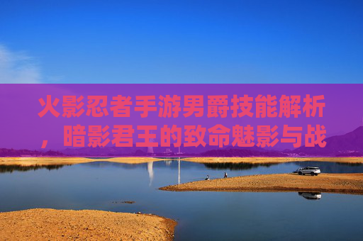 火影忍者手游男爵技能解析,暗影君王的致命魅影与战斗哲学
