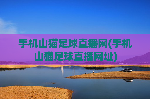 手机山猫足球直播网(手机山猫足球直播网址)