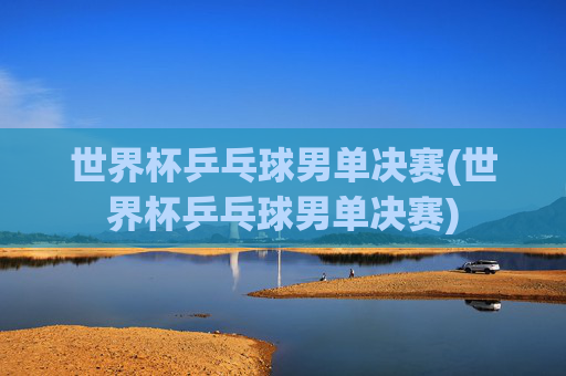 世界杯乒乓球男单决赛(世界杯乒乓球男单决赛)