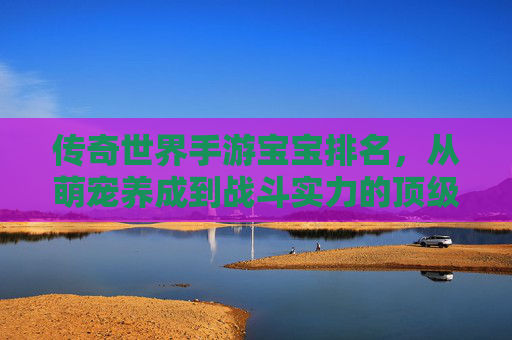 传奇世界手游宝宝排名,从萌宠养成到战斗实力的顶级梯队解析
