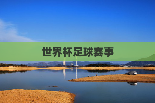 世界杯足球赛事