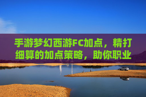 手游梦幻西游FC加点,精打细算的加点策略,助你职业进阶,手游梦幻西游FC加点,精打细算的加点策略,助你职业进阶