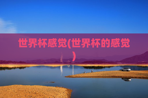 世界杯感觉(世界杯的感觉)