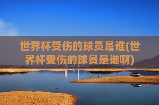 世界杯受伤的球员是谁(世界杯受伤的球员是谁啊)