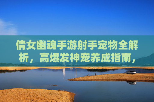 倩女幽魂手游射手宠物全解析，高爆发神宠养成指南，助你成为战场主宰，倩女幽魂手游射手宠物全解析，高爆发神宠养成指南，助你成为战场主宰