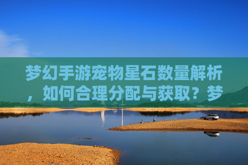 梦幻手游宠物星石数量解析,如何合理分配与获取?梦幻手游宠物星石数量解析,如何合理分配与获取?