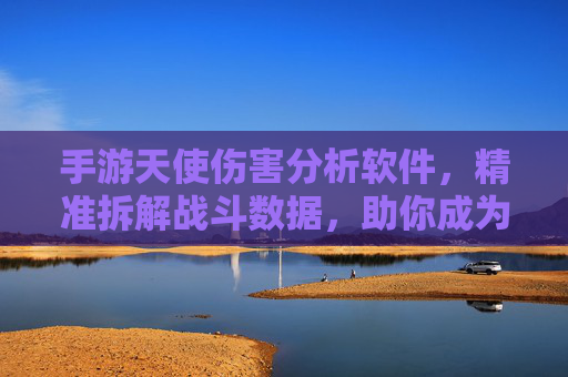 手游天使伤害分析软件,精准拆解战斗数据,助你成为战斗大师