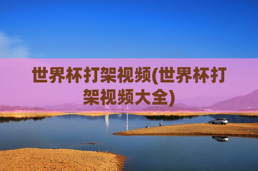 世界杯打架视频(世界杯打架视频大全)