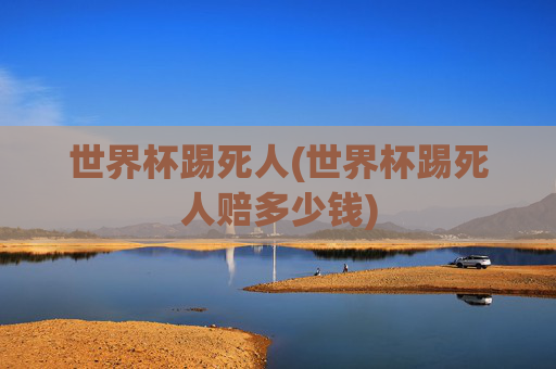 世界杯踢死人(世界杯踢死人赔多少钱)