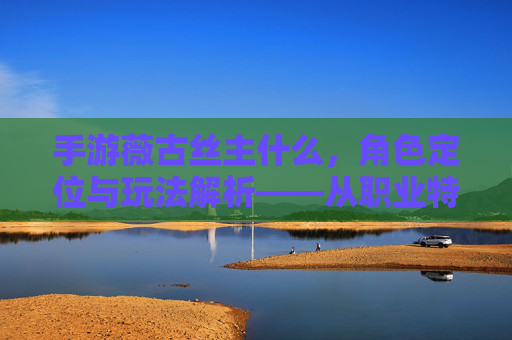 手游薇古丝主什么，角色定位与玩法解析——从职业特点看核心玩法方向
