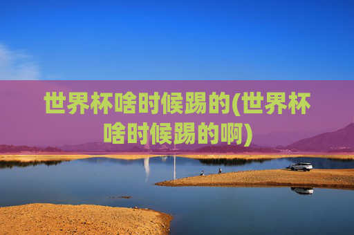 世界杯啥时候踢的(世界杯啥时候踢的啊)