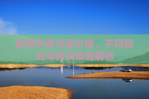 劲舞手游马尾价格,不同款式与购买策略解析