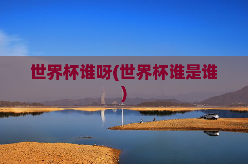 世界杯谁呀(世界杯谁是谁)