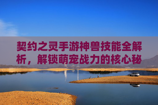 契约之灵手游神兽技能全解析,解锁萌宠战力的核心秘籍,契约之灵神兽技能全解析,解锁萌宠战力的核心秘籍