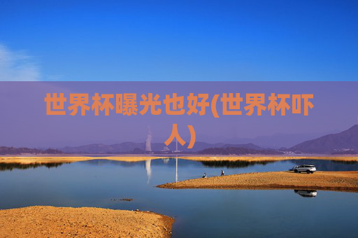 世界杯曝光也好(世界杯吓人)