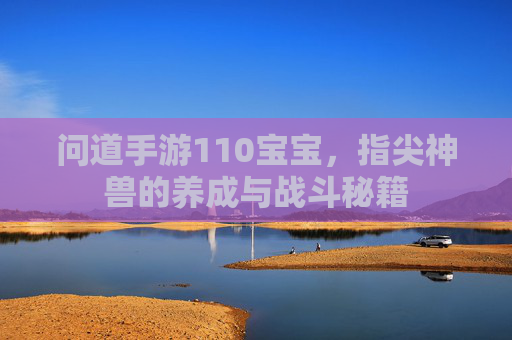 问道手游110宝宝,指尖神兽的养成与战斗秘籍