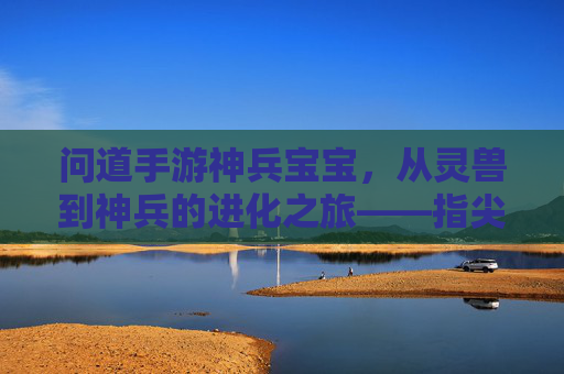 问道手游神兵宝宝,从灵兽到神兵的进化之旅——指尖掌控的战斗伙伴与情缘养成新体验