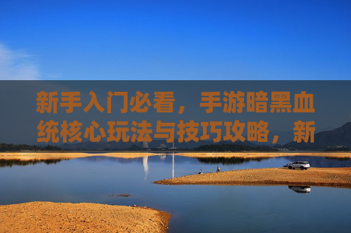 新手入门必看，手游暗黑血统核心玩法与技巧攻略，新手入门必看，手游暗黑血统核心玩法与技巧攻略