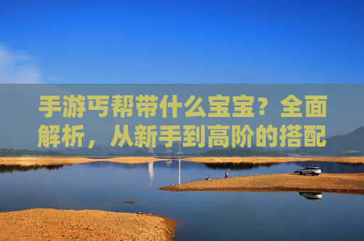 手游丐帮带什么宝宝?全面解析,从新手到高阶的搭配策略与推荐,手游丐帮宝宝搭配策略,从新手到高阶的全面解析与推荐