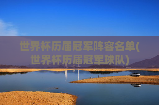 世界杯历届冠军阵容名单(世界杯历届冠军球队)