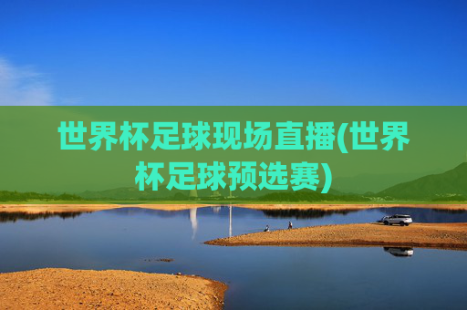 世界杯足球现场直播(世界杯足球预选赛)