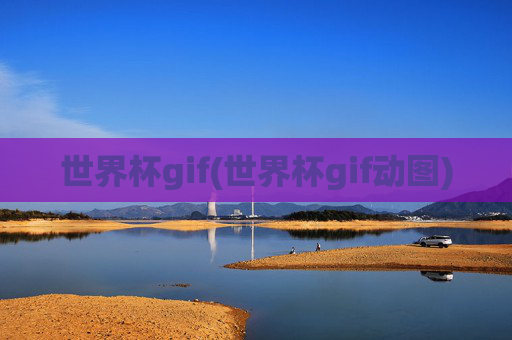 世界杯gif(世界杯gif动图)