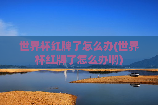 世界杯红牌了怎么办(世界杯红牌了怎么办啊)