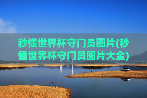 秒懂世界杯守门员图片(秒懂世界杯守门员图片大全)