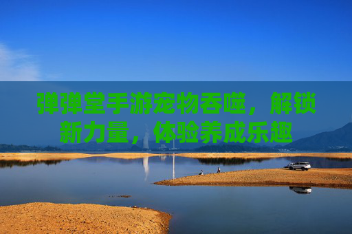 弹弹堂手游宠物吞噬,解锁新力量,体验养成乐趣
