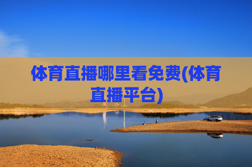 体育直播哪里看免费(体育直播平台)