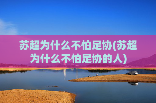 苏超为什么不怕足协(苏超为什么不怕足协的人)