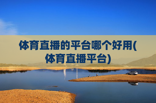 体育直播的平台哪个好用(体育直播平台)