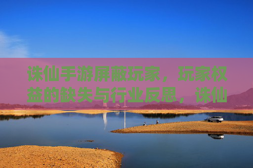 诛仙手游屏蔽玩家，玩家权益的缺失与行业反思，诛仙手游屏蔽玩家，玩家权益的缺失与行业反思