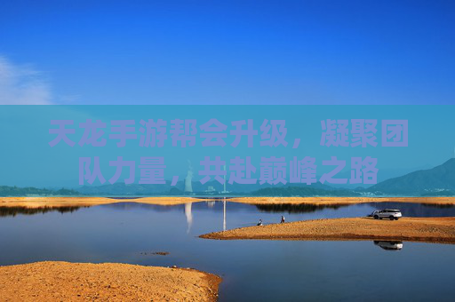 天龙手游帮会升级,凝聚团队力量,共赴巅峰之路
