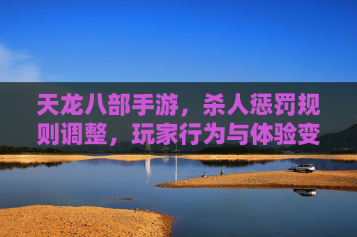 天龙八部手游,杀人惩罚规则调整,玩家行为与体验变化分析