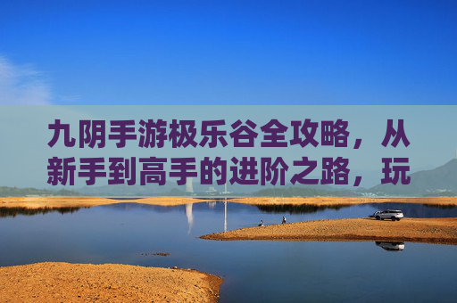 九阴手游极乐谷全攻略,从新手到高手的进阶之路,玩法技巧与资源攻略详解