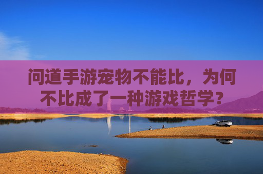 问道手游宠物不能比，为何不比成了一种游戏哲学？