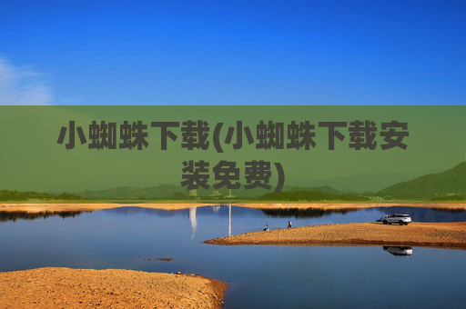 小蜘蛛下载(小蜘蛛下载安装免费)