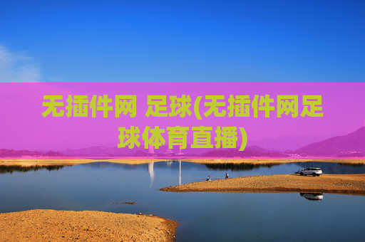 无插件网 足球(无插件网足球体育直播)