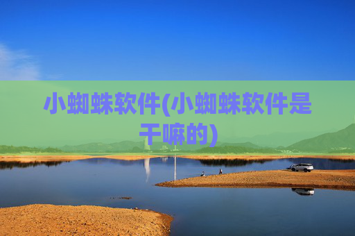 小蜘蛛软件(小蜘蛛软件是干嘛的)