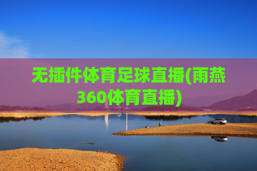 无插件体育足球直播(雨燕360体育直播)